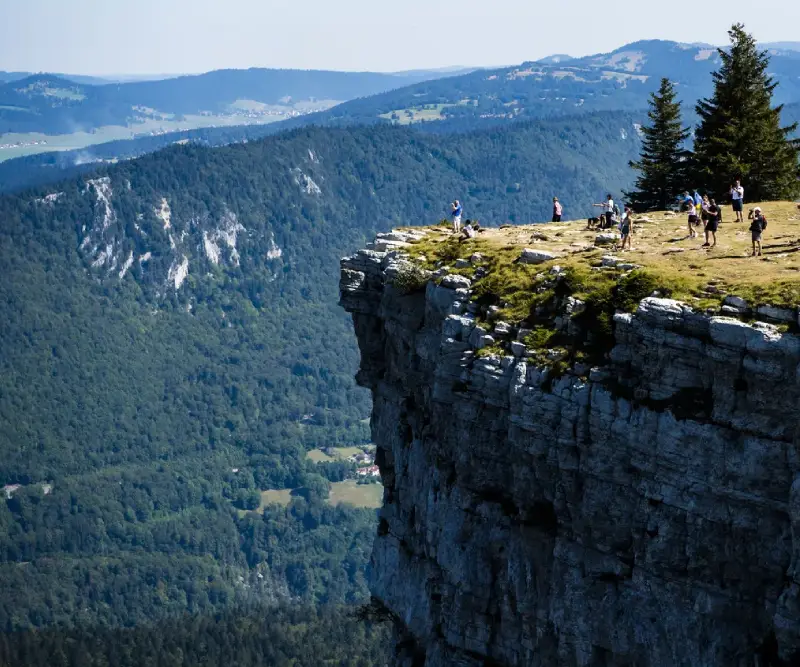 Steuerberater Verzeichnis Jura
